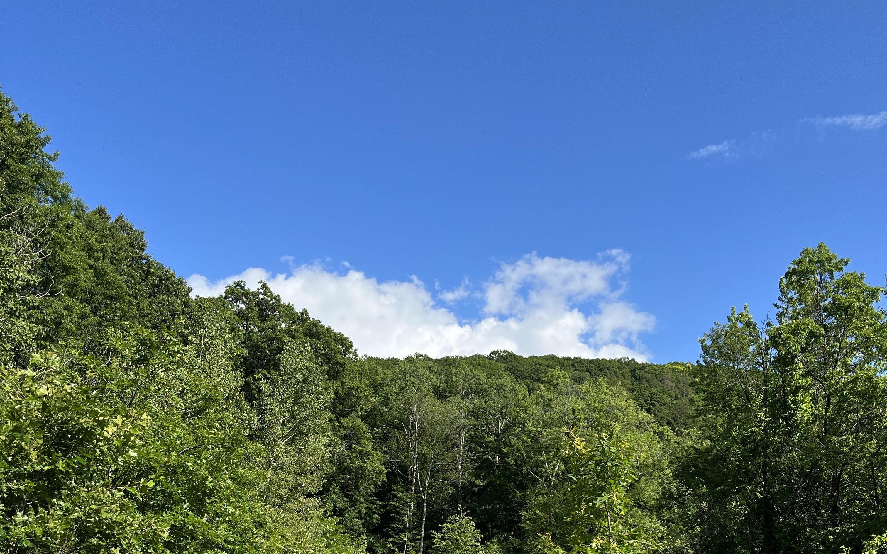 The Mountain's Edge: An Education for these Times